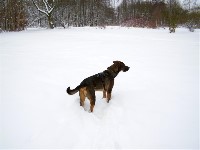 Thumbs/tn_2006_0311_080725 (Large).jpg